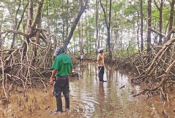 En estos espacios de diversidad y riqueza cultural y natural, hay ecosistemas que, independientemente de su número y extensión, poseen una importancia ecológica única.