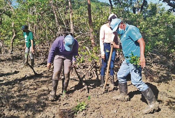 El Meduca busca reforzar los conocimientos de los estudiantes para que sean capaces de enfrentar los desafíos y retos del cambio climático.
