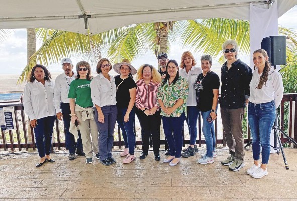 Fue lanzado el 11 de enero por la asociación Marea Verde.