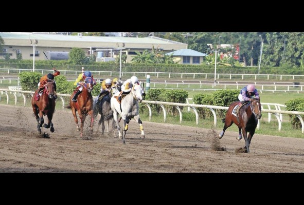 El hipódromo Presidente Remón, que se constituyó en una instalación mucho más adecuada para la hípica, también se convirtió en lo que se conoció como la 'Cuna' de los mejores jinetes del mundo