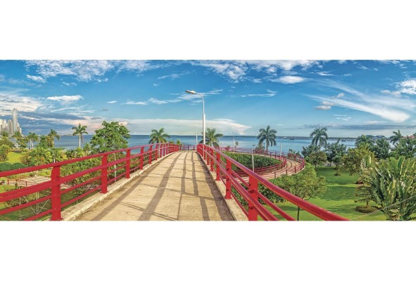 Sin embargo, muchas veces, a las ciudades, o en el caso panameño, al Gobierno Central, le cuesta trabajo financiar las obras de infraestructura que se requieren para construir un espacio urbano de mayor calidad.