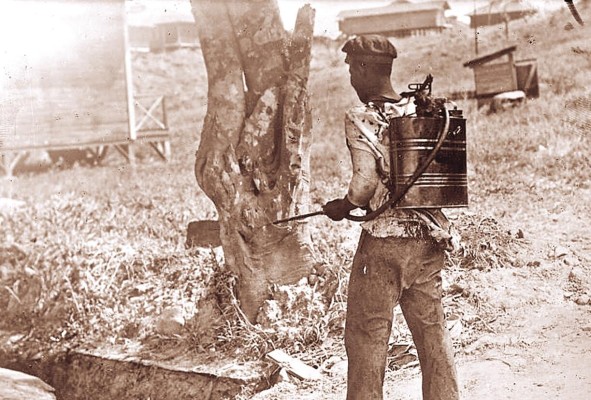 La labor de saneamiento de William Gorgas, en 1905, logró la construcción de un acueducto y alcantarillado en la ciudad.