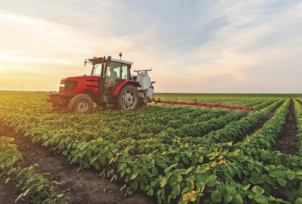 Si se logran cambiar las tendencias actuales, el mundo alcanzará un futuro alimentario socialmente inclusivo.