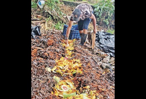 La recolección de composta es una actividad importante para el huerto del jardín.