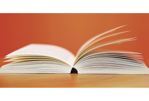 Si estás leyendo esta columna es porque eres una persona brillante que busca siempre aprender, y busca la mejor versión de ti.