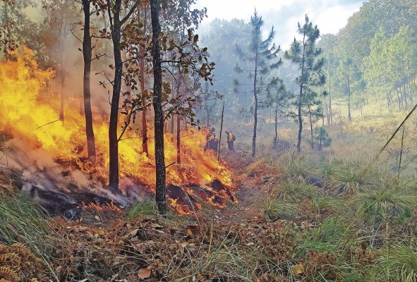 El cambio climático y los desastres ambientales más impactantes de 2021