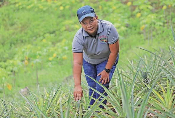 Mariela Castillo trabaja sus tierras con esmero en Los Higuerones.