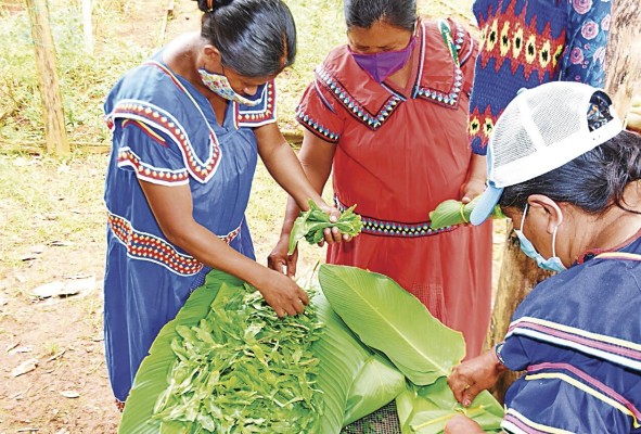Unas 800 familias de poblaciones de difícil acceso se beneficiaron con proyectos avícolas y agrícolas, según información del Mides.