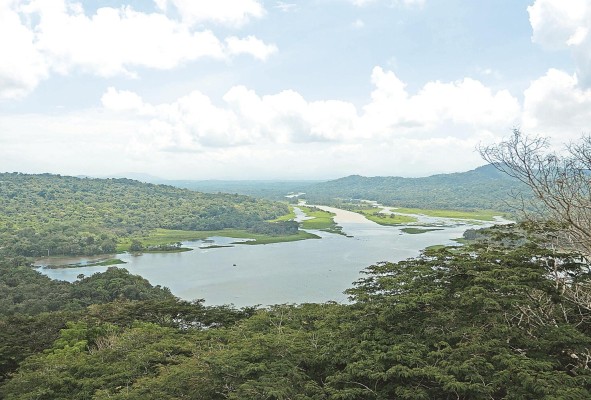La cuenca alta del Canal de Panamá la forman los ríos Boquerón, Pequení y el Chagres, este último formado por otros afluentes como el río Piedras y el río Chico.