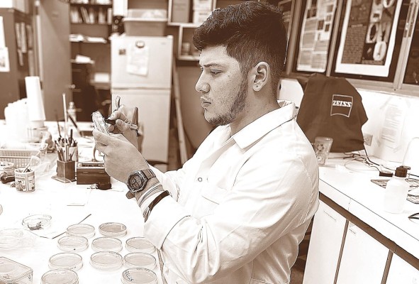 Trabajo en el laboratorio