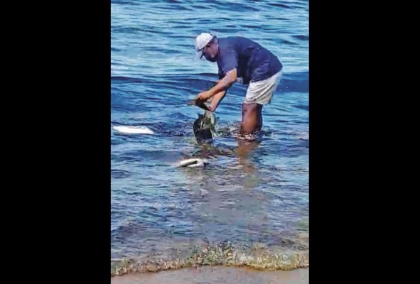 La población tabogana vive de la pesca y del turismo.