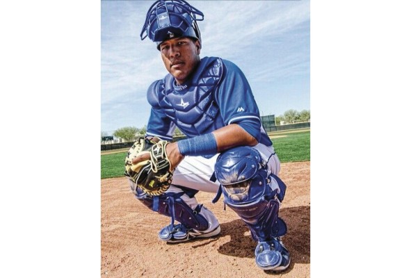 Salvador ha ganado cinco Guantes de Oro, tres Bates de Plata, y como Novato del año en la Liga Venezolana de Béisbol Profesional.