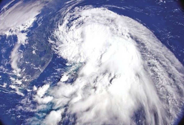 La biodiversidad en las regiones tropicales es mayor en casi todos los grupos taxonómicos.