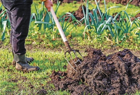 El tratamiento del estiércol es una de las actividades que causa que el sector agro genere emisiones de metano.