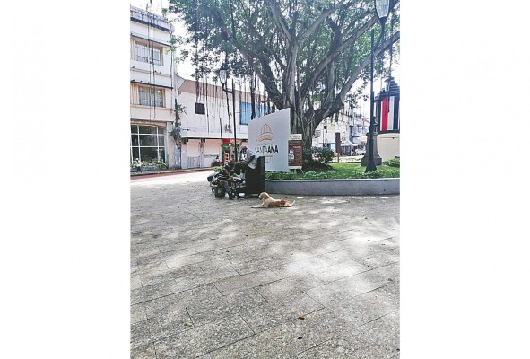 Plaza Santa Ana, Ciudad de Panamá.
