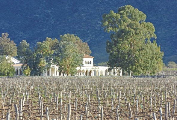 La finca de los viñedos Lávaque, cerca de la ciudad de Cafayate, provincia de Salta (Argentina).