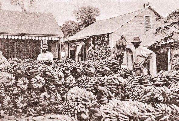 Imagen histórica de United Fruit Company, tomada de una nota bajo la autoría de Alejandro I. López para el 'blog' culturacolectiva.com