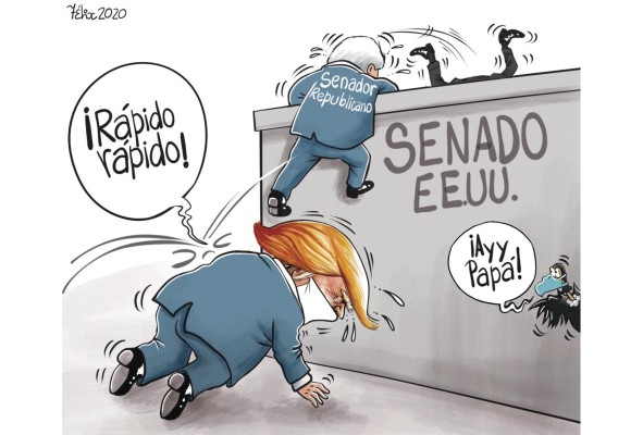 La Opinión Gráfica del 13 de noviembre de 2020