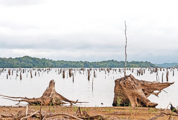 Imagen del lago Gatún durante la sequía de 2015.