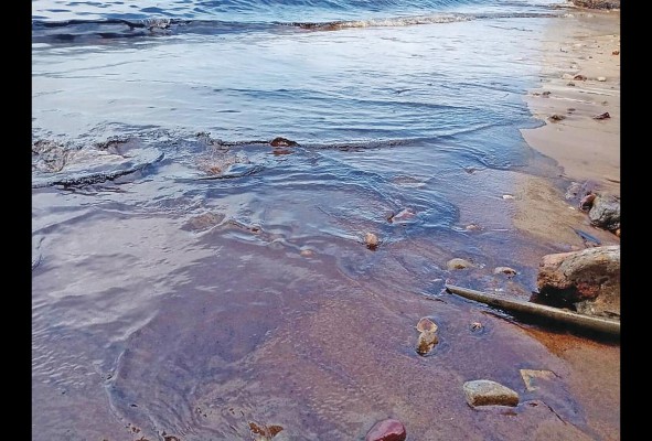 Naves contaminan con desechos los mares y costas de la isla de Taboga