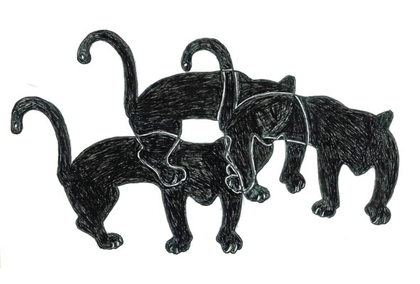 De noche todos los gatos son iguales