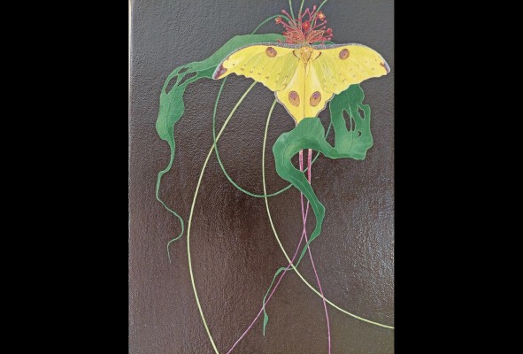 Kenia Araya, los colores de una artista inspirada en la naturaleza