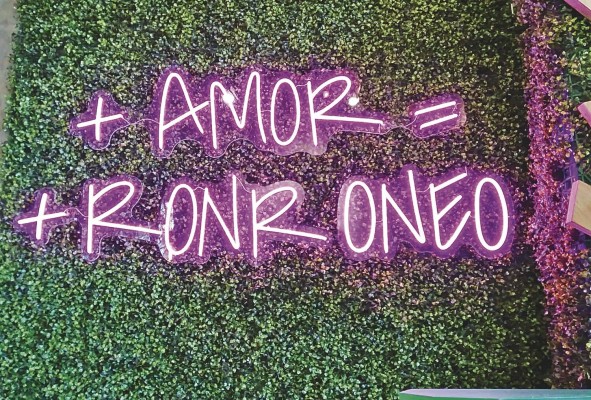Cleo Cat Café impulsa la adopción responsable y elimina los estereotipos sobre los gatos.