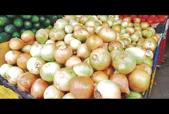 La cebolla es uno de los ingredientes indispensables en las comidas de los panameños; pero ingerir el bulbo dañado, vencido o podrido puede afectar la salud.