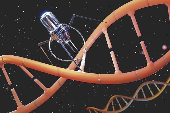 La nanomedicina es una disciplina que aplica los avances de la nanotecnología al campo de la salud.