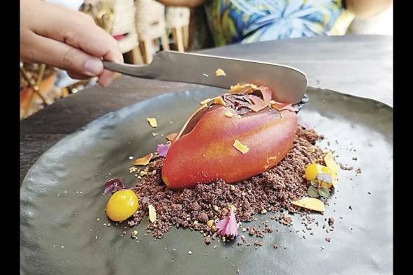 Cacao salvaje