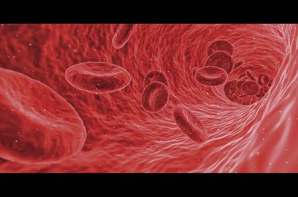 La hemofilia supone un desafío para los hombres que la padecen