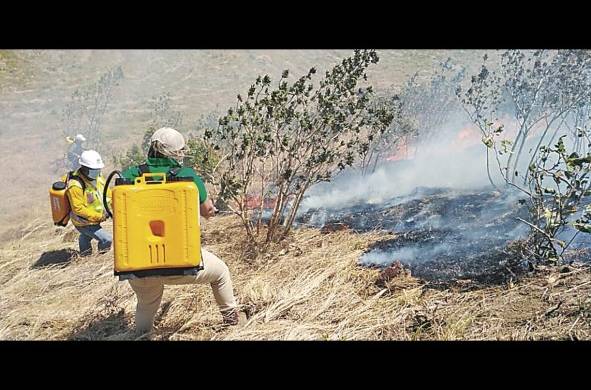 En Panamá se vienen realizando varias campañas de prevención sobre los incendios forestales.