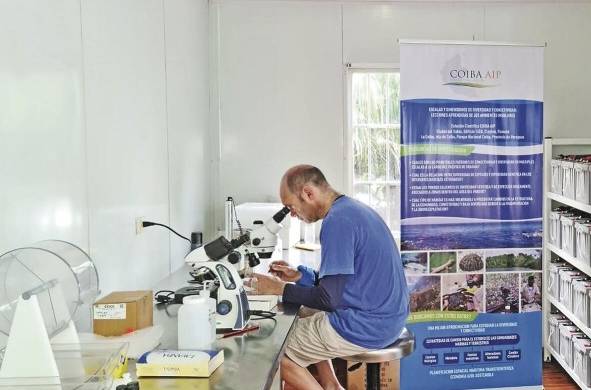 Ernesto Brugnoli, uno de los científicos de Coiba AIP, realiza su trabajo en el laboratorio del Parque Nacional Coiba