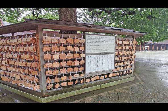 En el santuario Meiji los visitantes graban peticiones en este muro. Es parte de la tradición.