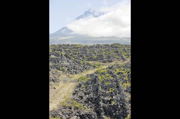 Vista de los corrales (currais) en los viñedos en Isla de Pico, Azores. Al fondo el volcán Pico