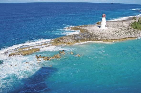 Algo muy característico de Las Bahamas son los cerditos nadadores.