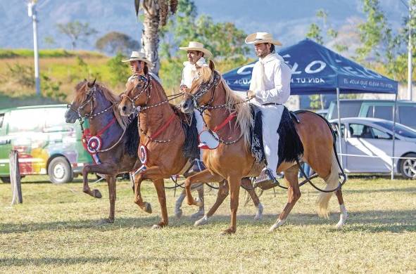 Del 26 al 28 de enero de 2023 se realizó en Panamá el Cuadragésimo Segundo (XLII) Concurso Nacional del Caballo de Paso Peruano.