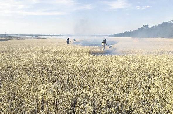 Rescatistas ucranianos apagan un incendio en un campo de trigo en el área de Donetsk.