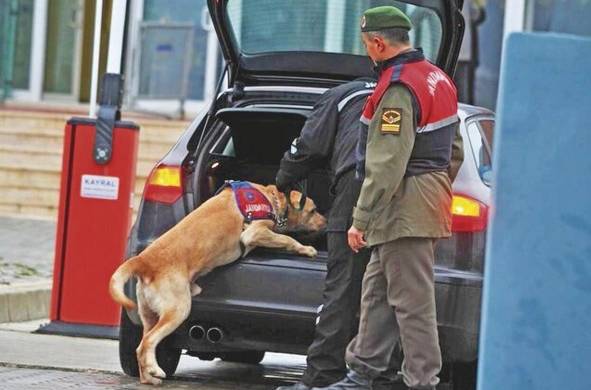 Mario Chan dirige Servican Panamá donde se brindan servicios de perros protectores.
