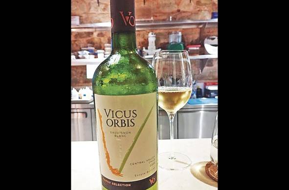 Vicus Orbis, sauvignon blanc