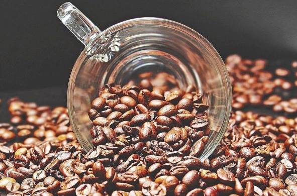 Panamá ha estado exportando café de especialidad desde hace 20 años.