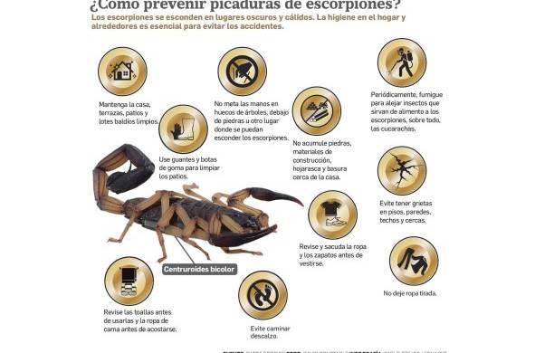 La búsqueda de antivenenos contra toxinas de escorpiones
