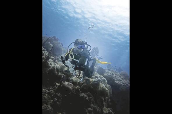 Juan M. Guzmán, buzo profesional y conservacionista colombiano explora los aspectos más importantes de esta disciplina subacuática.