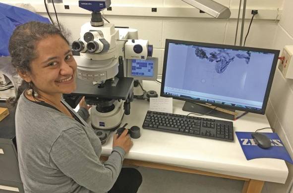 La investigadora Ingrid Romero buscando polen fósil con un microscopio óptico.