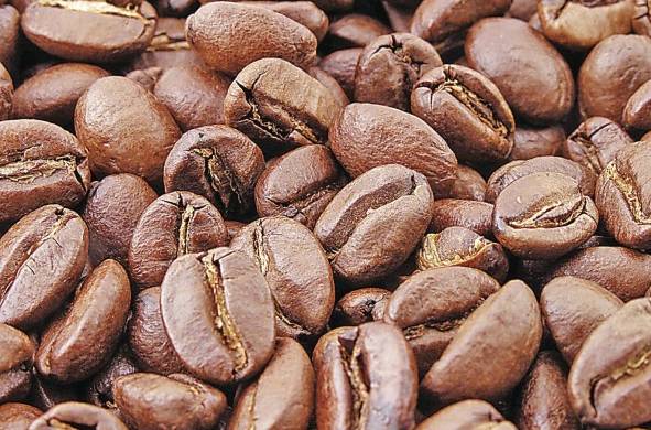 El cacao panameño es clasificado como tipo criollo lo que aumenta su valor en el mercado.