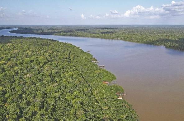 Vista aérea de una zona de la floresta Amazónica en el estado de Pará, norte de Brasil.