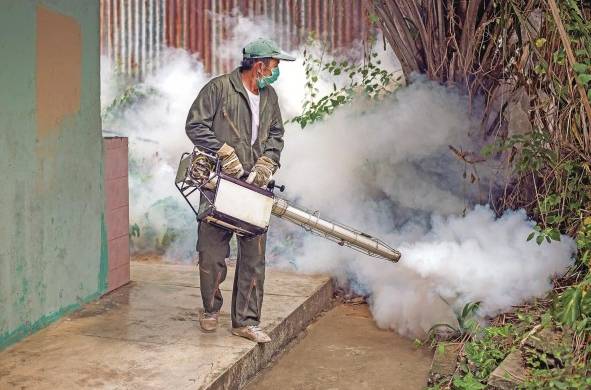 La nebulización solo elimina al mosquito adulto.