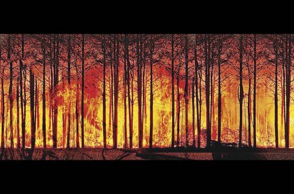 Los incendios forestales son también consecuencias del calentamiento global.