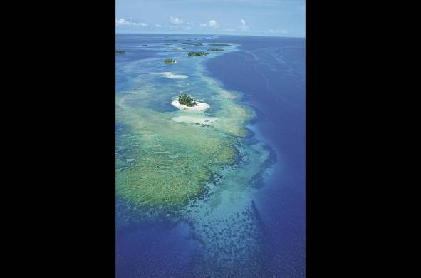 En Panamá hay unos 250 km de costa con arrecifes de franja en el litoral Caribe.
