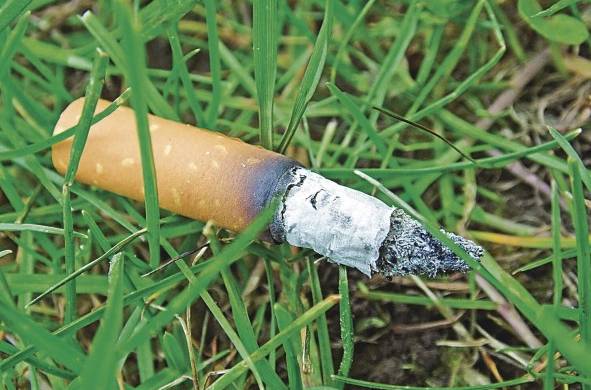 Las colillas de los cigarrillos envenenan el agua, el suelo, las playas y las calles de las ciudades.